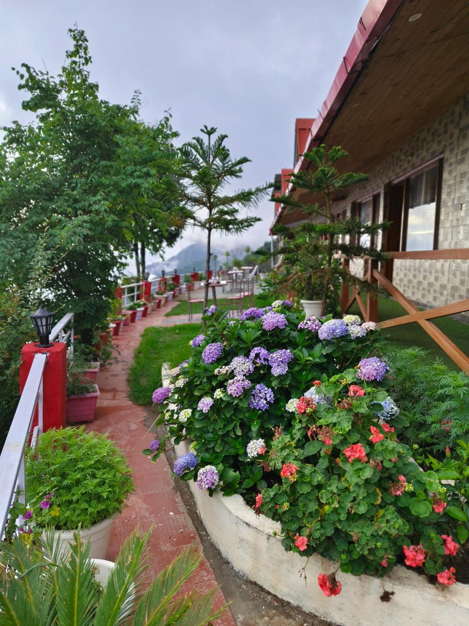 Naina Bird Cottage Nainital Esterno foto