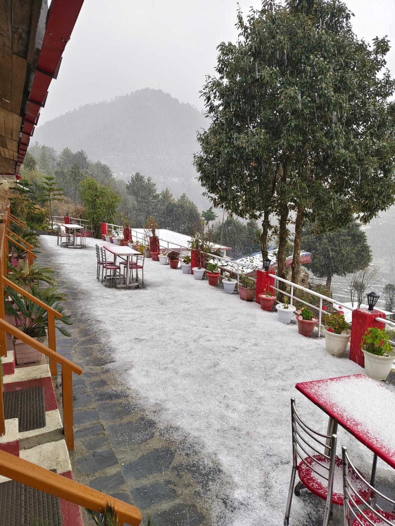 Naina Bird Cottage Nainital Esterno foto